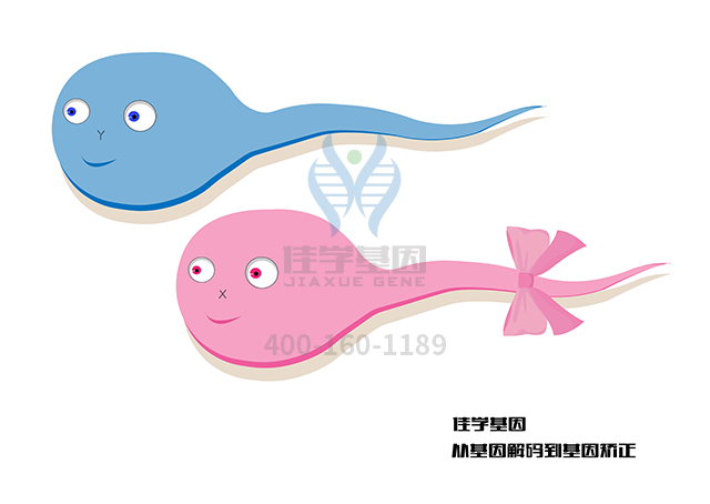 【佳学基因检测】Cornelia de Lange综合征基因解码、基因检测报告看到懂吗? 【佳学基因检测】Cornelia de Lange综合征基因解码、基因检测报告看到懂吗?