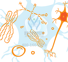 【佳学基因检测】甲状腺激素代谢异常基因解码、基因检测的报告看得懂吗? 【佳学基因检测】甲状腺激素代谢异常基因解码、基因检测的报告看得懂吗?