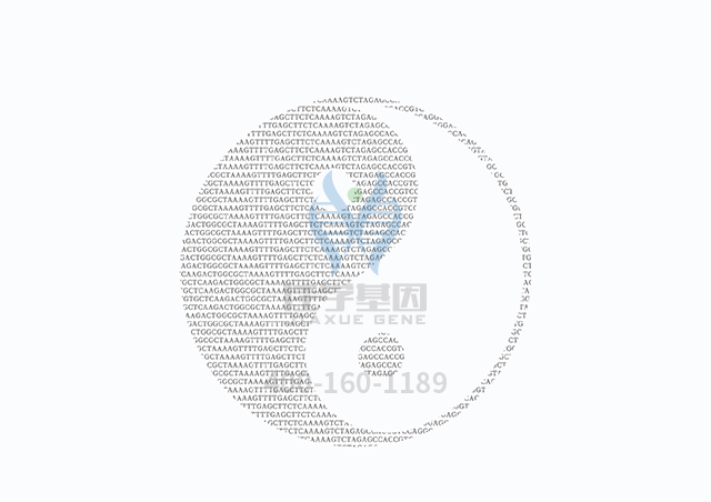 【佳学基因检测】做网状色素皮病基因解码、基因检测需要多长时间？