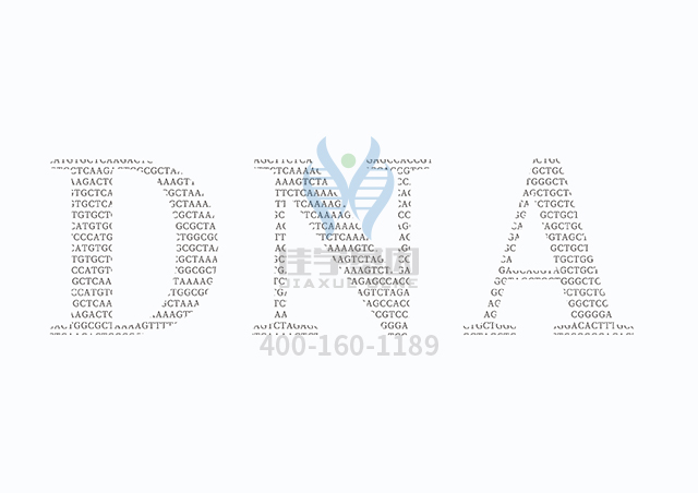 【佳学基因检测】做酒精依赖易感性型基因解码、基因检测的费用是多少? 【佳学基因检测】做酒精依赖易感性型基因解码、基因检测的费用是多少?