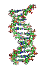 【佳学基因检测