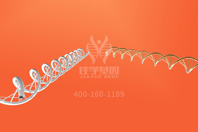 【佳学基因检测】临床医学硕士关于BAGE分子病理检测的必备内容