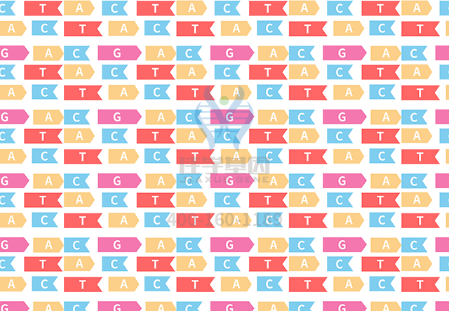 【佳学基因-基因检测】小龙女吴卓林公开表示自己出柜——同性恋到底是天生的?还是后天造成的? 【佳学基因-基因检测】小龙女吴卓林公开表示自己出柜——同性恋到底是天生的?还是后天造成的?