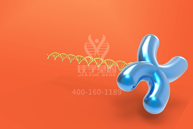 【佳学基因检测】神经外科学中如何充实APOC1P1分子病理检测内容