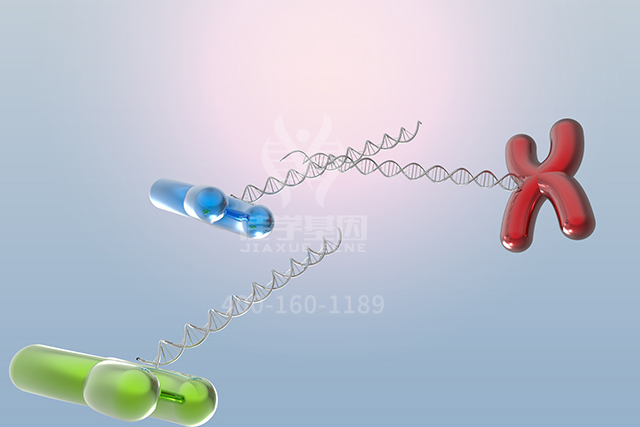 【佳学基因检测】文心一言中突变检测中关于ATP5PO的知识所包含的内容