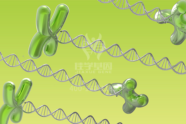 【佳学基因检测】胸外科突变检测项目招标为什么要问RHOG的内容