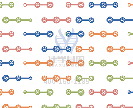 【佳学基因-基因检测】关于“渐冻人症”——肌萎缩性侧索硬化(ALS),你该知道的 【佳学基因-基因检测】关于“渐冻人症”——肌萎缩性侧索硬化(ALS),你该知道的