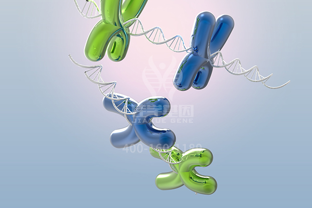 【佳学基因检测】医学院专升本关于HCN2突变检测的基本技能