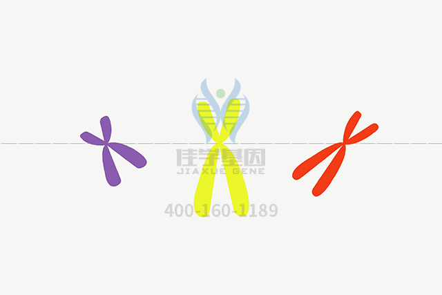 【佳学基因检测】ATP1B3分子病理检测有突变会得什么病? 【佳学基因检测】ATP1B3分子病理检测有突变会得什么病?