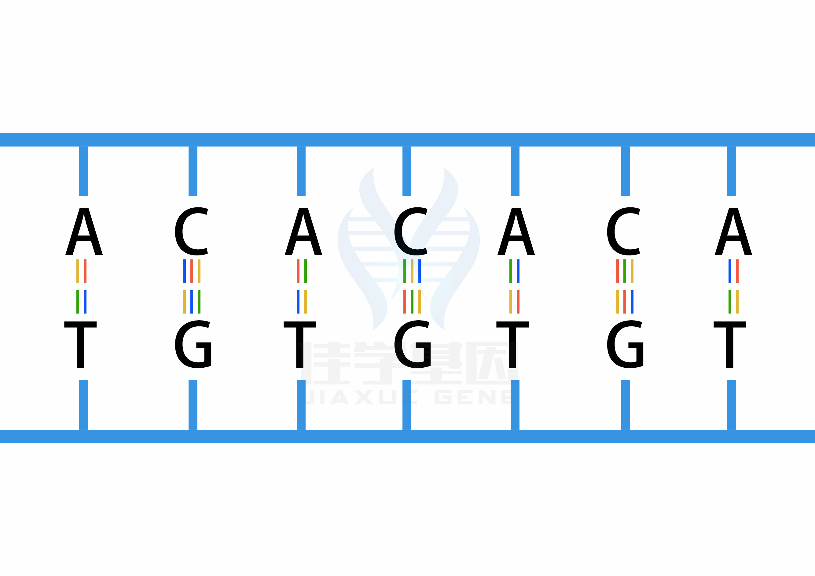 【佳学基因检测】过早脱发、掉发太多怎么办?你的方法可能是错的! 【佳学基因检测】过早脱发、掉发太多怎么办?你的方法可能是错的!
