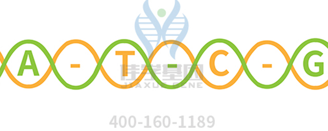 【佳学基因检测】过早脱发、掉发太多怎么办?你的方法可能是错的! 【佳学基因检测】过早脱发、掉发太多怎么办?你的方法可能是错的!