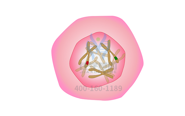 【佳学基因检测】耳聋基因检测怎样做才能又准又全? 【佳学基因检测】耳聋基因检测怎样做才能又准又全?