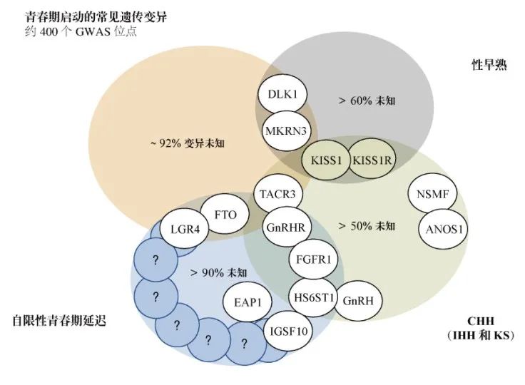 【佳学基因检测】青春期延迟的多种表现及其基因解码、基因检测的重要作用 【佳学基因检测】青春期延迟的多种表现及其基因解码、基因检测的重要作用