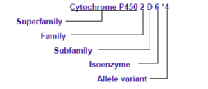 【佳学基因检测】肿瘤个体化治疗检测技术指南（试行）——国家标准