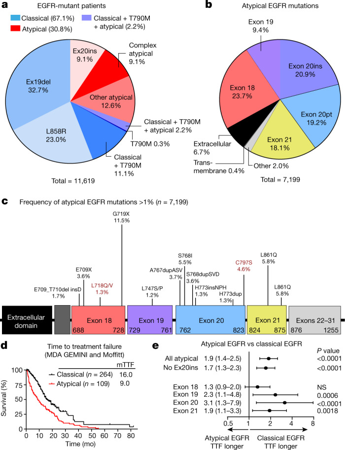 【佳学基因检测】非小细胞肺癌基于结构功能分析的靶向药物基因突变基因检测 【佳学基因检测】非小细胞肺癌基于结构功能分析的靶向药物基因突变基因检测