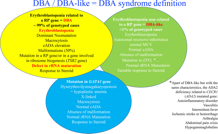 【佳学基因检测】DBA基因检测