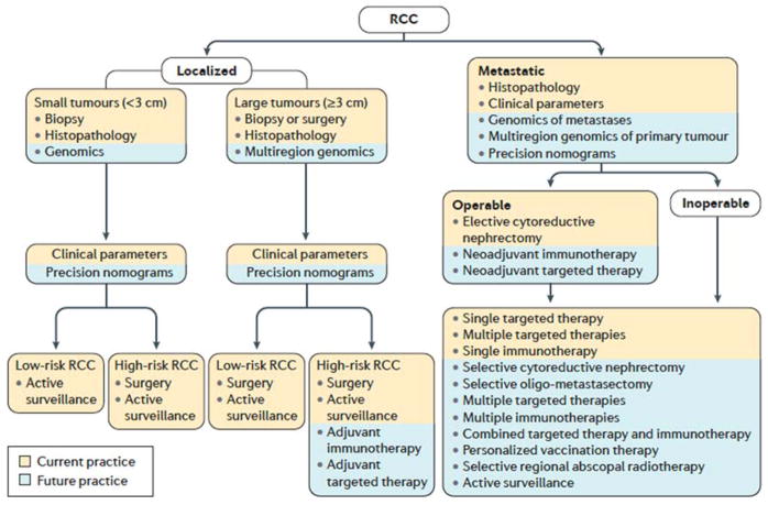 【佳学基因检测】肾脏癌靶向药物基因检测（Kidney Cancer)