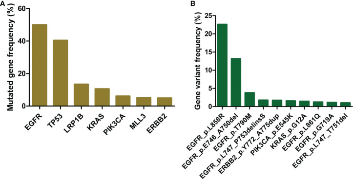 【佳学基因检测】如何提高肺癌靶向药物基因检测的治疗效果？