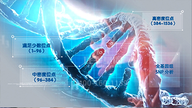 幼儿学各种才艺的选择和最佳年龄 幼儿学各种才艺的选择和最佳年龄