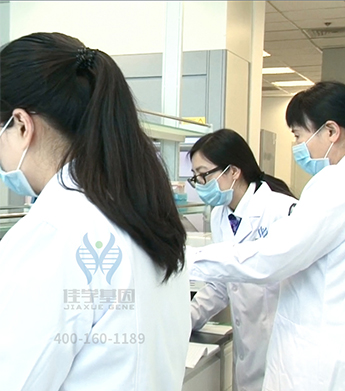 【佳学基因检测】维生素C需求基因解码、基因检测 【佳学基因检测】维生素C需求基因解码、基因检测