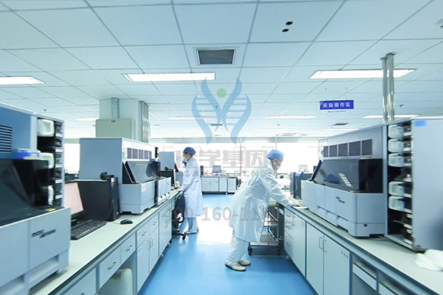 【佳学基因检测】药房主任如何询问关于CDK4的基因检测知识 【佳学基因检测】药房主任如何询问关于CDK4的基因检测知识