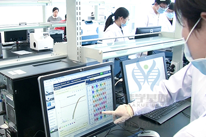 【佳学基因-基因检测】男性脱发是什么原因造成的? 【佳学基因-基因检测】男性脱发是什么原因造成的?