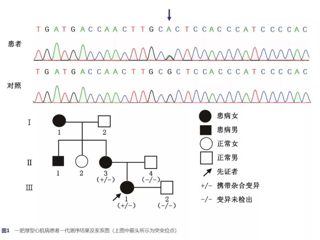 【佳学基因检测】基因检测确认心脏病突变,后代或者二胎是如何确保健康的? 【佳学基因检测】基因检测确认心脏病突变,后代或者二胎是如何确保健康的?