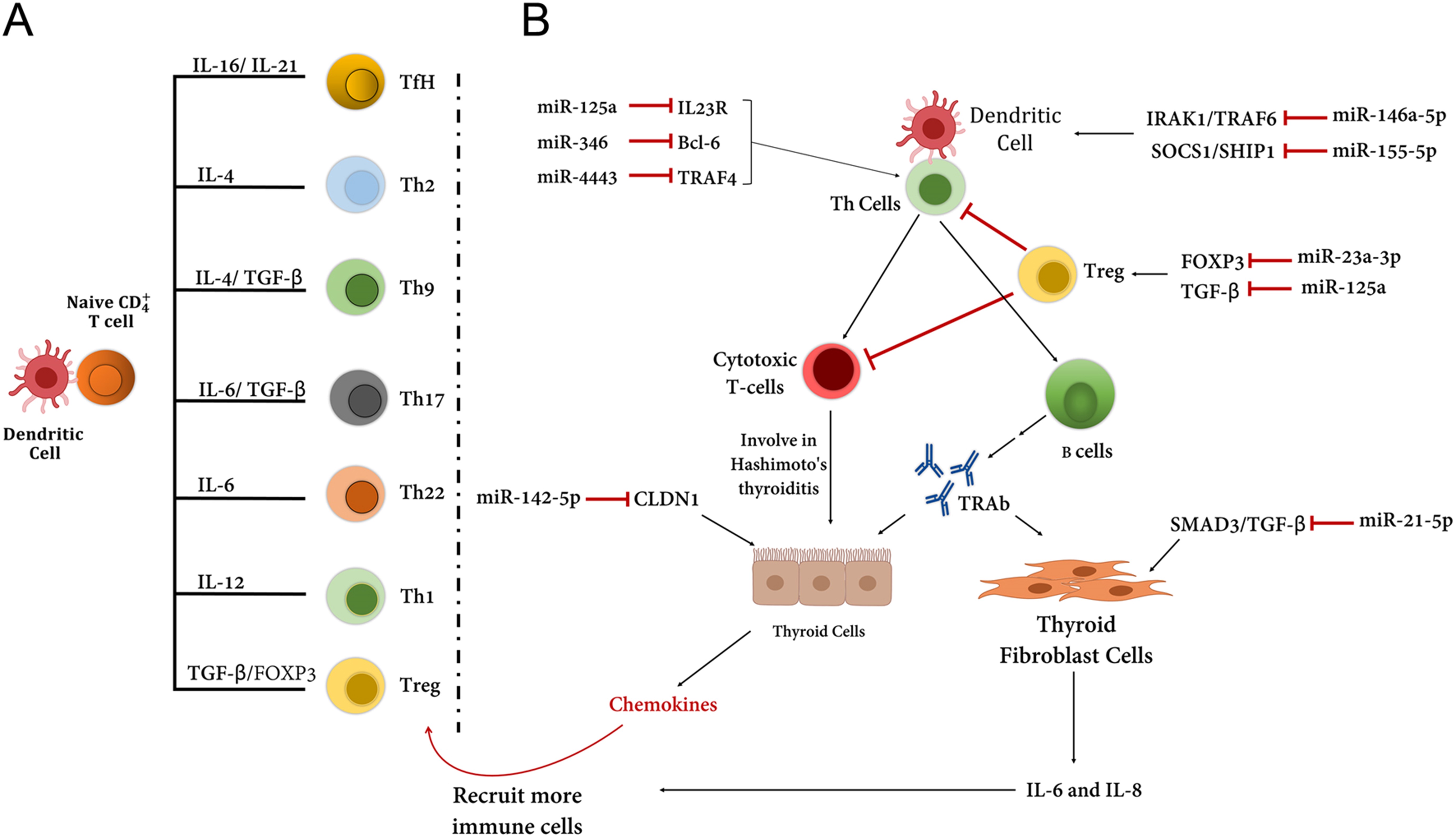 【佳学基因检测】格雷夫斯病基因检测Graves disease 【佳学基因检测】格雷夫斯病基因检测Graves disease