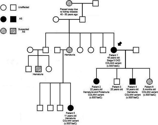 【佳学基因检测】遗传性肾脏疾病基因解码与基因检测:COL4A4突变及解释 【佳学基因检测】遗传性肾脏疾病基因解码与基因检测:COL4A4突变及解释