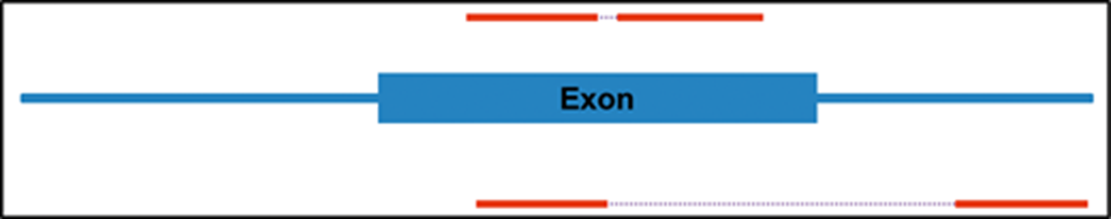 【佳学基因检测13】医院所需要的下一代测序技术(NGS测序) 【佳学基因检测13】医院所需要的下一代测序技术(NGS测序)