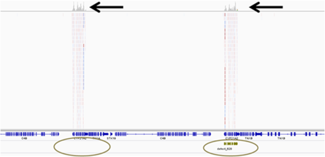 【佳学基因检测13】医院所需要的下一代测序技术(NGS测序) 【佳学基因检测13】医院所需要的下一代测序技术(NGS测序)