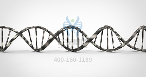 【佳学基因解码-基因检测】怪不得嗯哼的情商这么高！霍思燕的教育方式获赞！