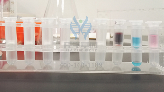 【佳学基因解码-基因检测】怪不得嗯哼的情商这么高！霍思燕的教育方式获赞！