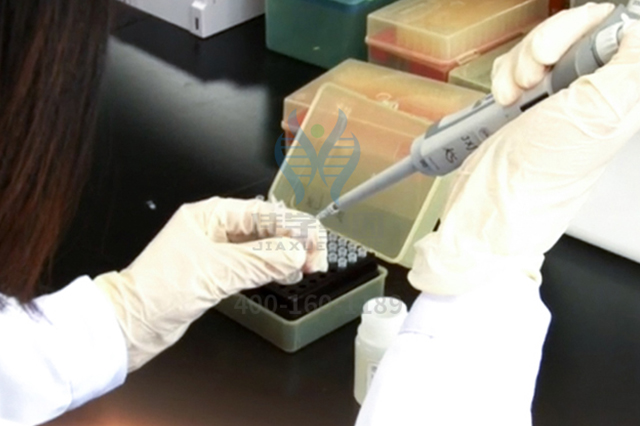 【佳学基因检测】全基因测序CYP19A1疾病筛查有意义未明突变，我该怎么办？