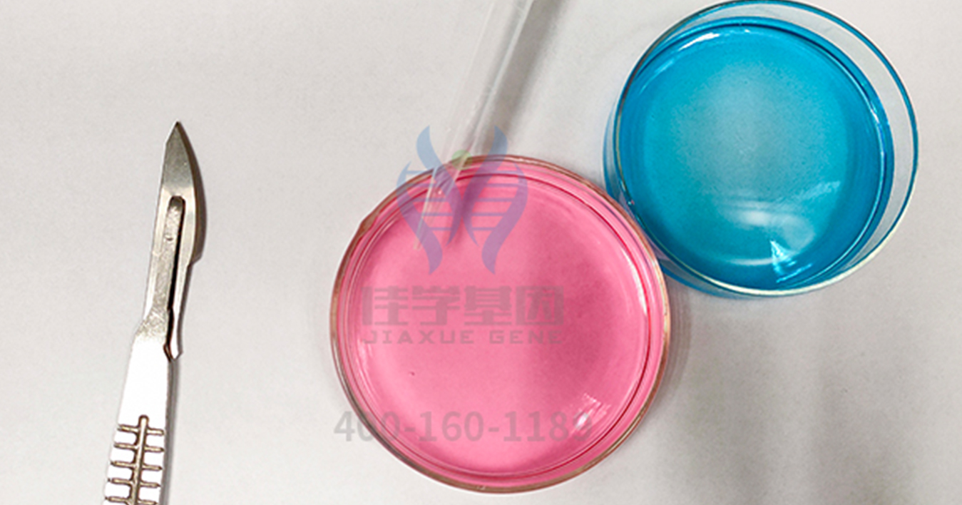 【佳学基因检测】结婚前发现男朋友有DHCR7基因突变，是否应当分手？