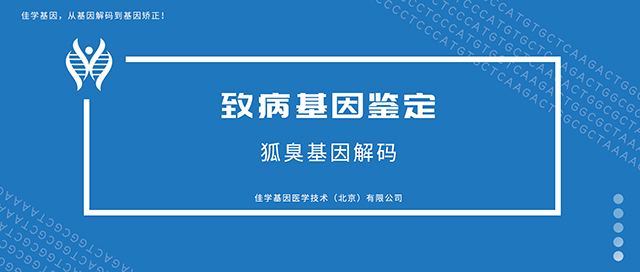 【佳学基因检测】广西壮族自治区北海市急需基因检测市场推广经理