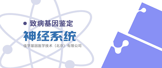 【佳学基因检测】生物素-硫铵素反应性基底节病基因解码基因检测