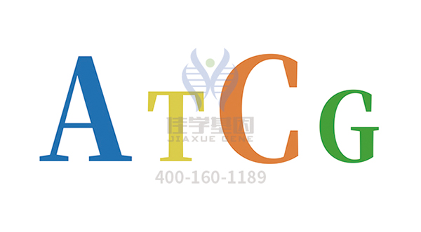 【佳学基因检测】工作记忆力基因解码基因检测 【佳学基因检测】工作记忆力基因解码基因检测