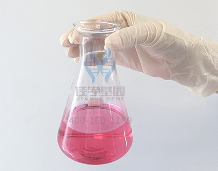 【佳学基因检测】临床医学硕士关于GAMT疾病筛查的必备内容 【佳学基因检测】临床医学硕士关于GAMT疾病筛查的必备内容