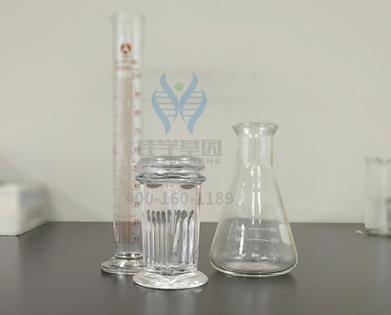 【佳学基因解码-基因检测】泪点低是一种怎样的体验? 【佳学基因解码-基因检测】泪点低是一种怎样的体验?