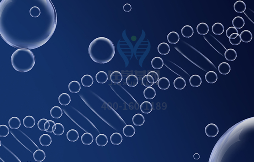 【佳学基因-基因检测】弟弟患有肌营养不良,姐姐如何安心孕育? 【佳学基因-基因检测】弟弟患有肌营养不良,姐姐如何安心孕育?