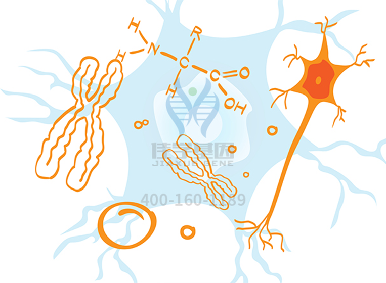 【佳学基因-基因检测】到底是什么疾病导致刚出生不久的宝宝湿疹严重、全身淤青? 【佳学基因-基因检测】到底是什么疾病导致刚出生不久的宝宝湿疹严重、全身淤青?