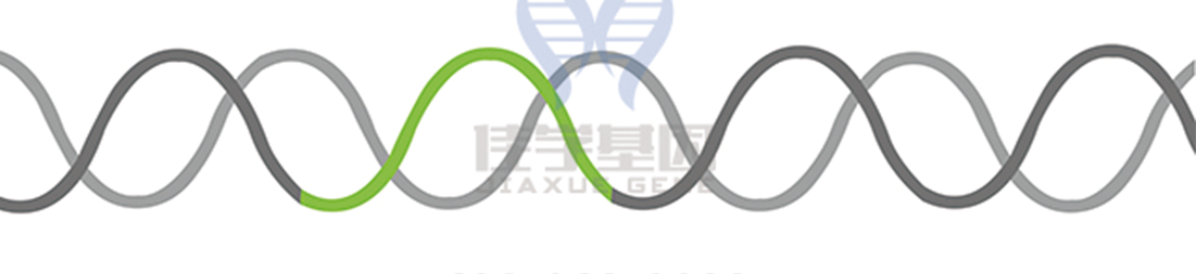 【佳学基因-基因检测】基因治疗即将到站 【佳学基因-基因检测】基因治疗即将到站