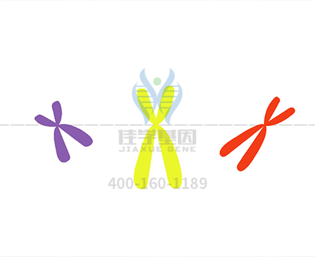 【佳学基因-基因检测】多个基因突变会导致急性髓系白血病 【佳学基因-基因检测】多个基因突变会导致急性髓系白血病
