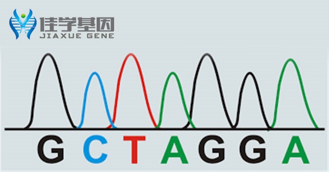 【佳学基因-基因检测】多个基因突变会导致急性髓系白血病 【佳学基因-基因检测】多个基因突变会导致急性髓系白血病