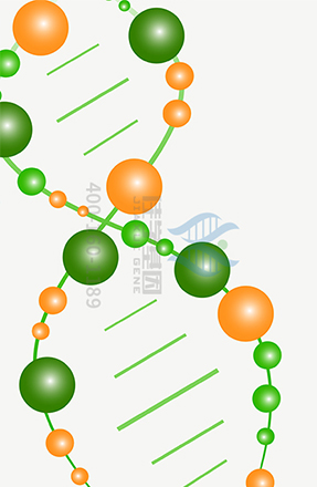 【佳学基因-基因检测】平衡碘摄入量,预防桥本甲状腺炎 【佳学基因-基因检测】平衡碘摄入量,预防桥本甲状腺炎