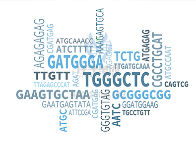 【佳学基因-基因检测】怎样才能及时发现自己是否患有膀胱癌? 【佳学基因-基因检测】怎样才能及时发现自己是否患有膀胱癌?