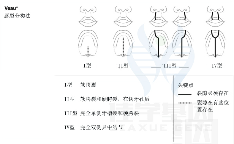 【佳学基因检测】唇裂不同分类命名系统的比较与统一
