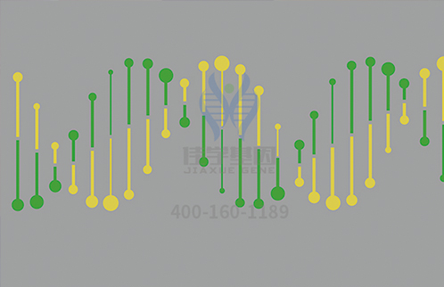 【佳学基因检测】心脑血管疾病个性化用药指导