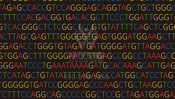 【佳学基因-基因检测】基因科技或将进入从“解码”到“矫正”的时代——基因矫正实例解读 【佳学基因-基因检测】基因科技或将进入从“解码”到“矫正”的时代——基因矫正实例解读